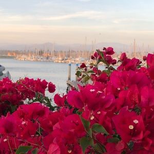 Meet your Posher, Maria p